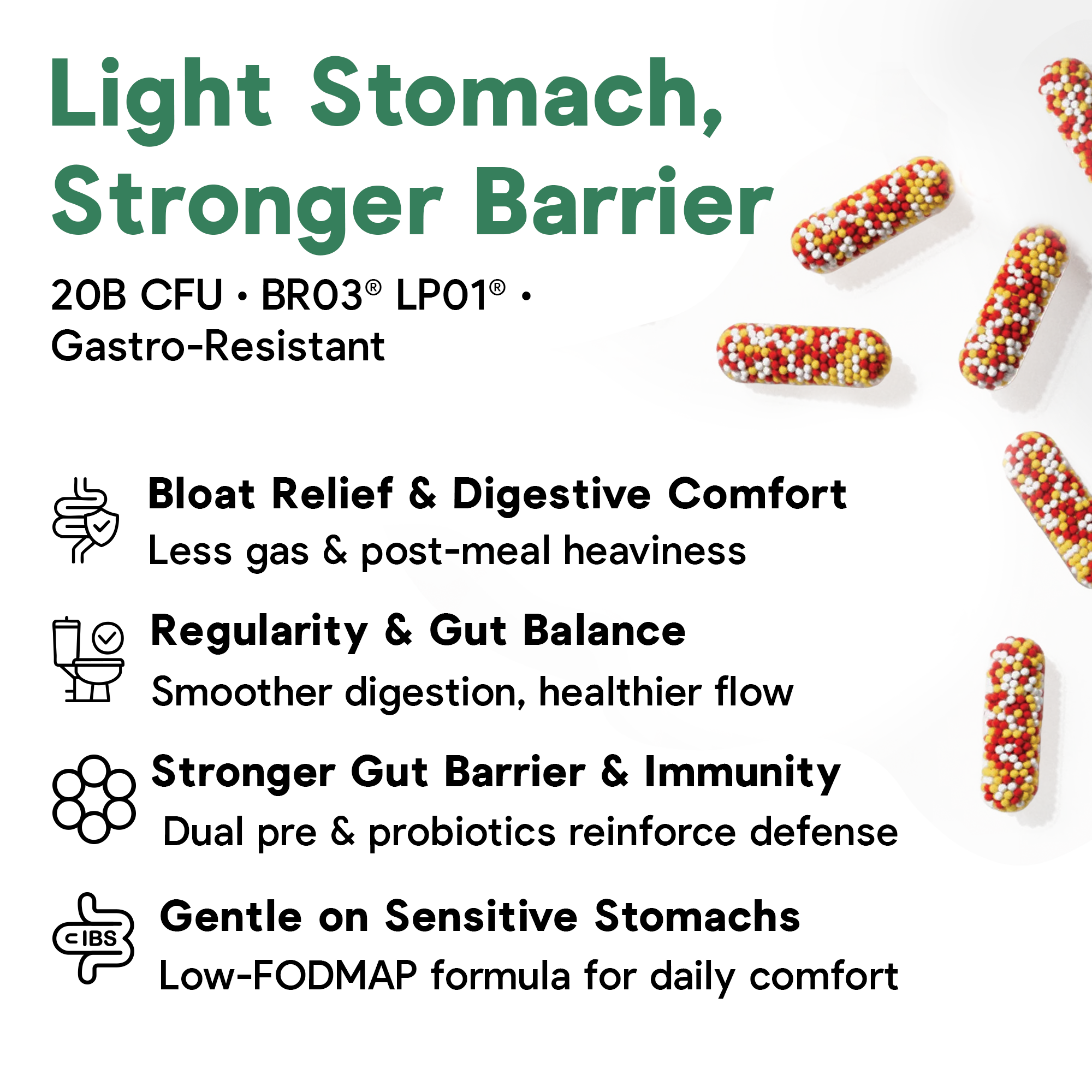 Daily CocoSynbiotic - 20B CFU Probiotics + XOS & Coconut MOS for Gut Health, Regularity & Immune Support, BR03® & LP01®