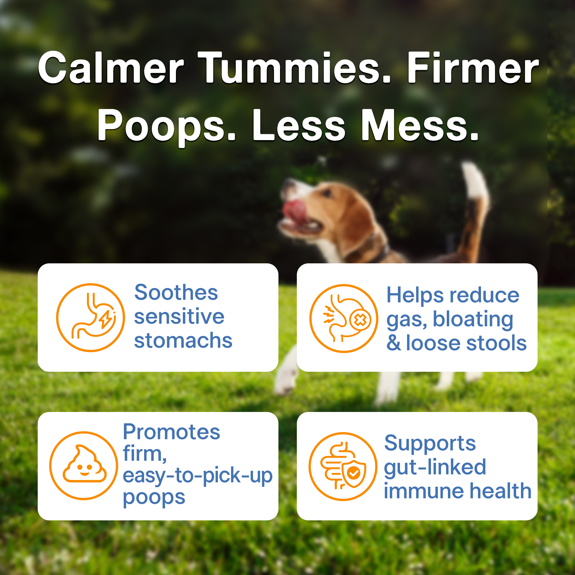 Gentle Synbiotic Powder for Dogs & Cats - 4B CFU Probiotics + PHGG & Coconut MOS - Sensitive Tummy & Firm Stool Support, Low-FODMAP, Inulin-Free, 60 g