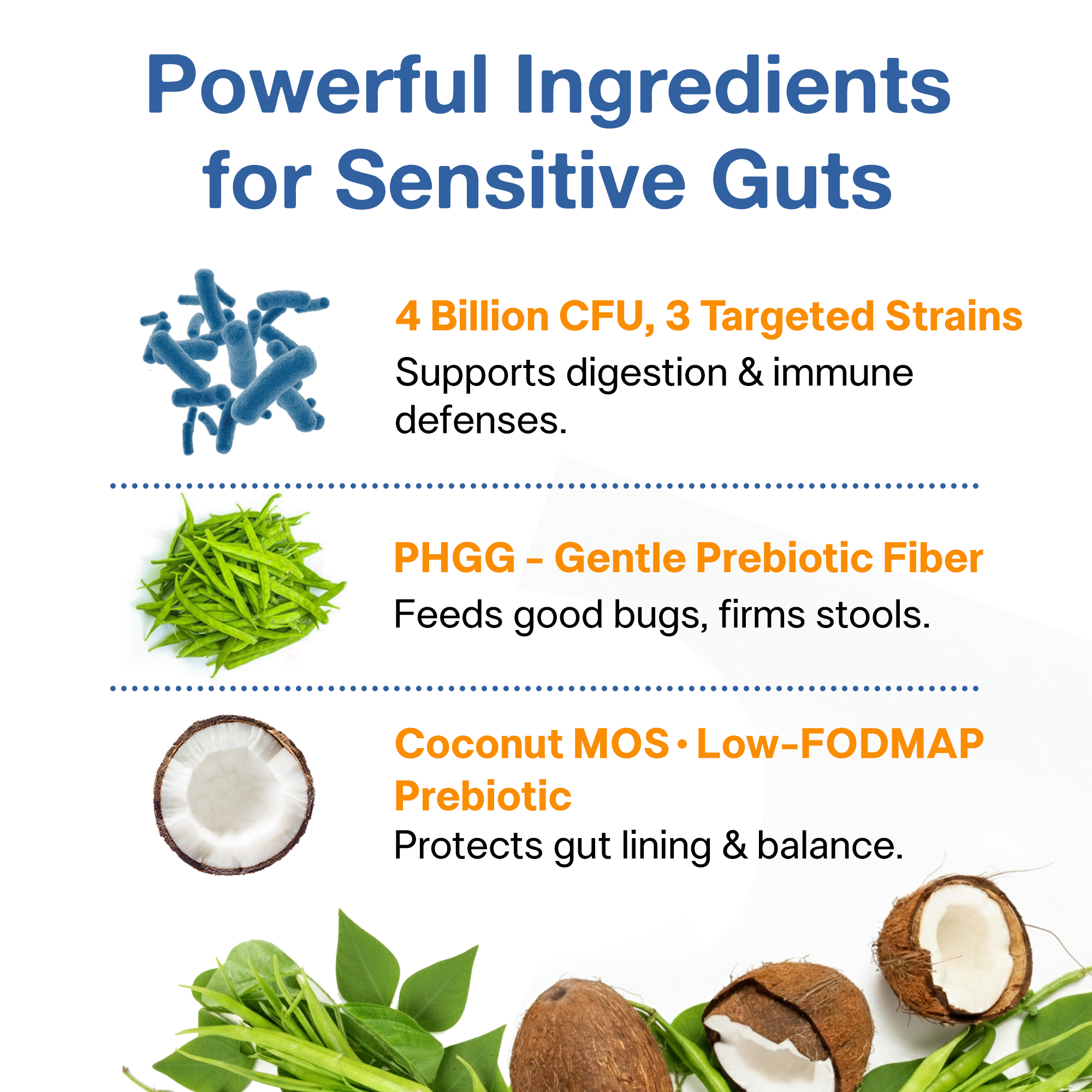 Gentle Synbiotic Powder for Dogs & Cats - 4B CFU Probiotics + PHGG & Coconut MOS - Sensitive Tummy & Firm Stool Support, Low-FODMAP, Inulin-Free, 60 g