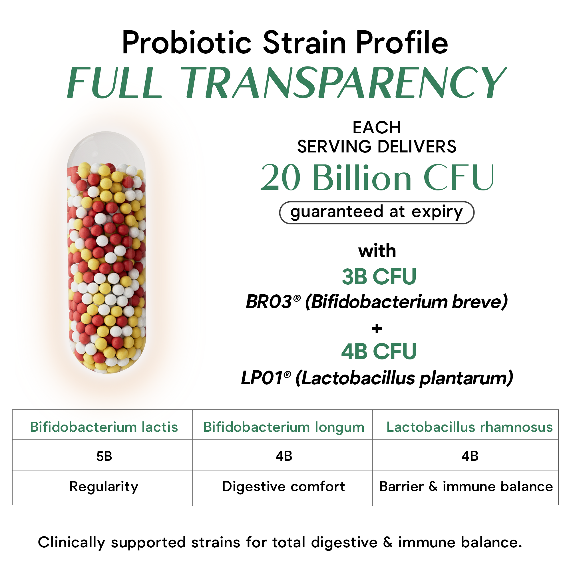 Daily CocoSynbiotic - 20B CFU Probiotics + XOS & Coconut MOS for Gut Health, Regularity & Immune Support, BR03® & LP01®