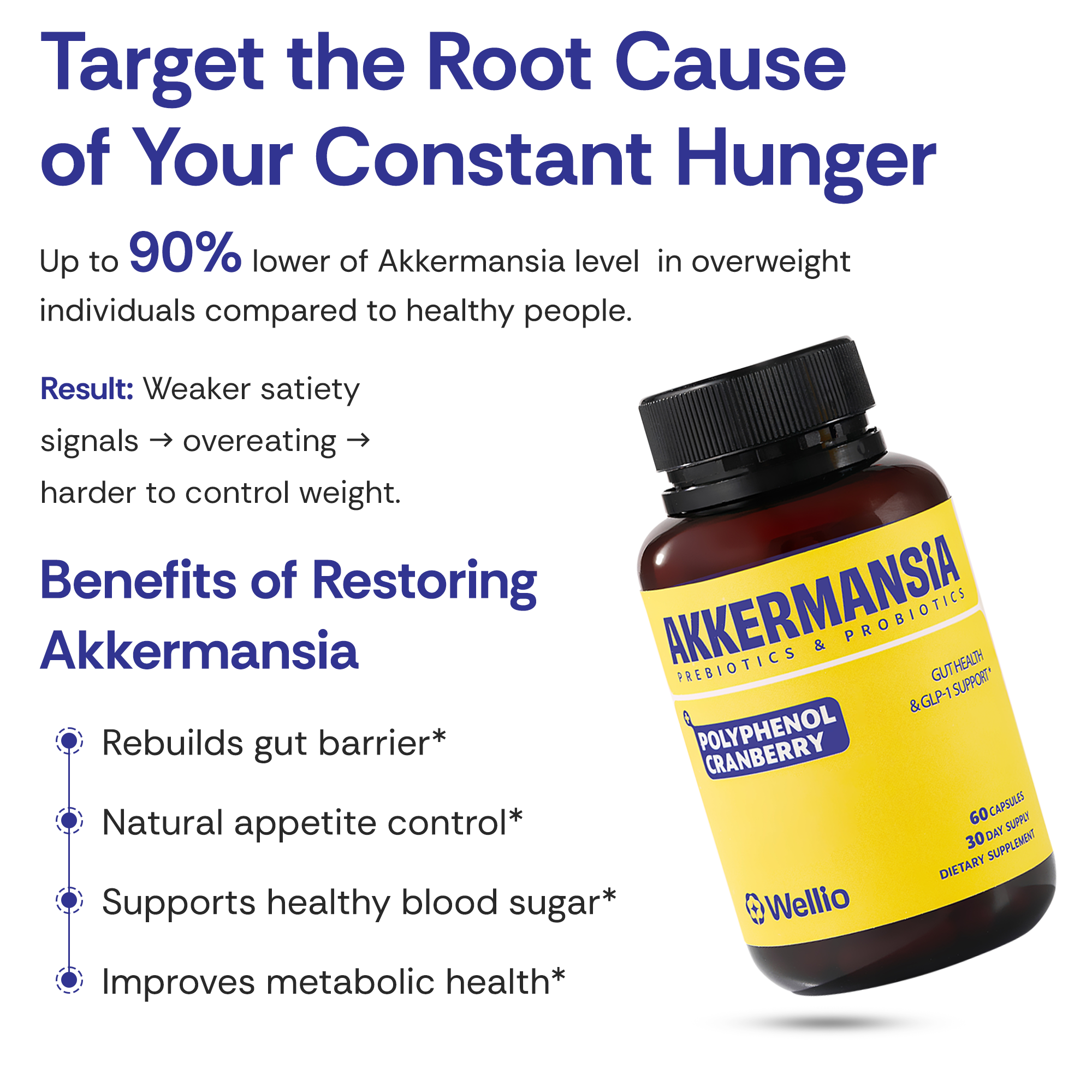 Akkermansia Probiotic