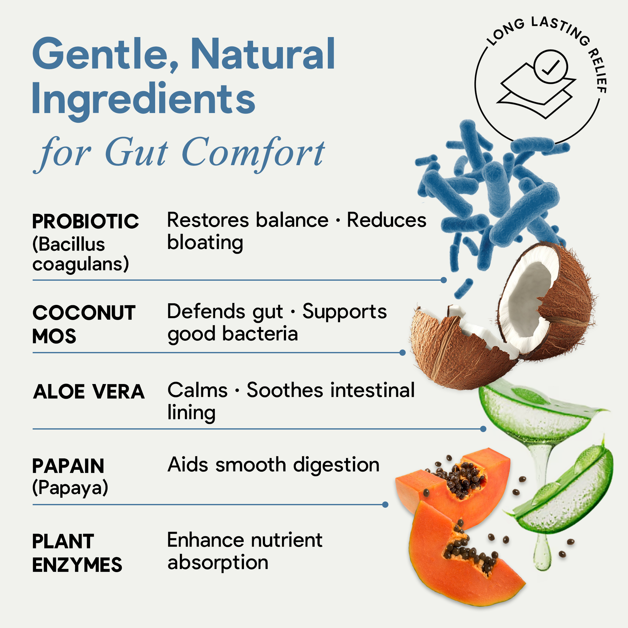 Daily Digestive Oral Strip - 10B Probiotic + Coconut MOS & Enzymes for On-the-Go Bloat Relief