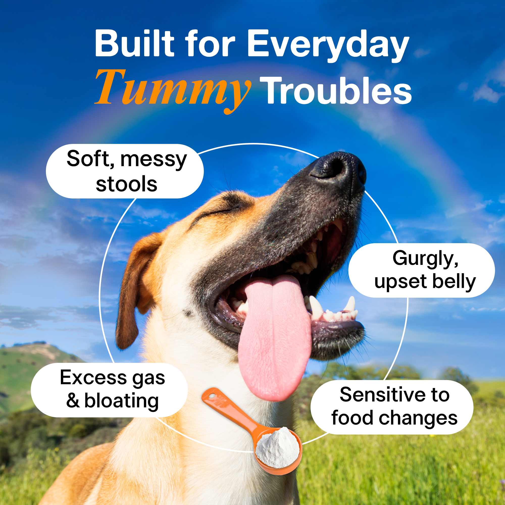 Gentle Synbiotic Powder for Dogs & Cats - 4B CFU Probiotics + PHGG & Coconut MOS - Sensitive Tummy & Firm Stool Support, Low-FODMAP, Inulin-Free, 60 g