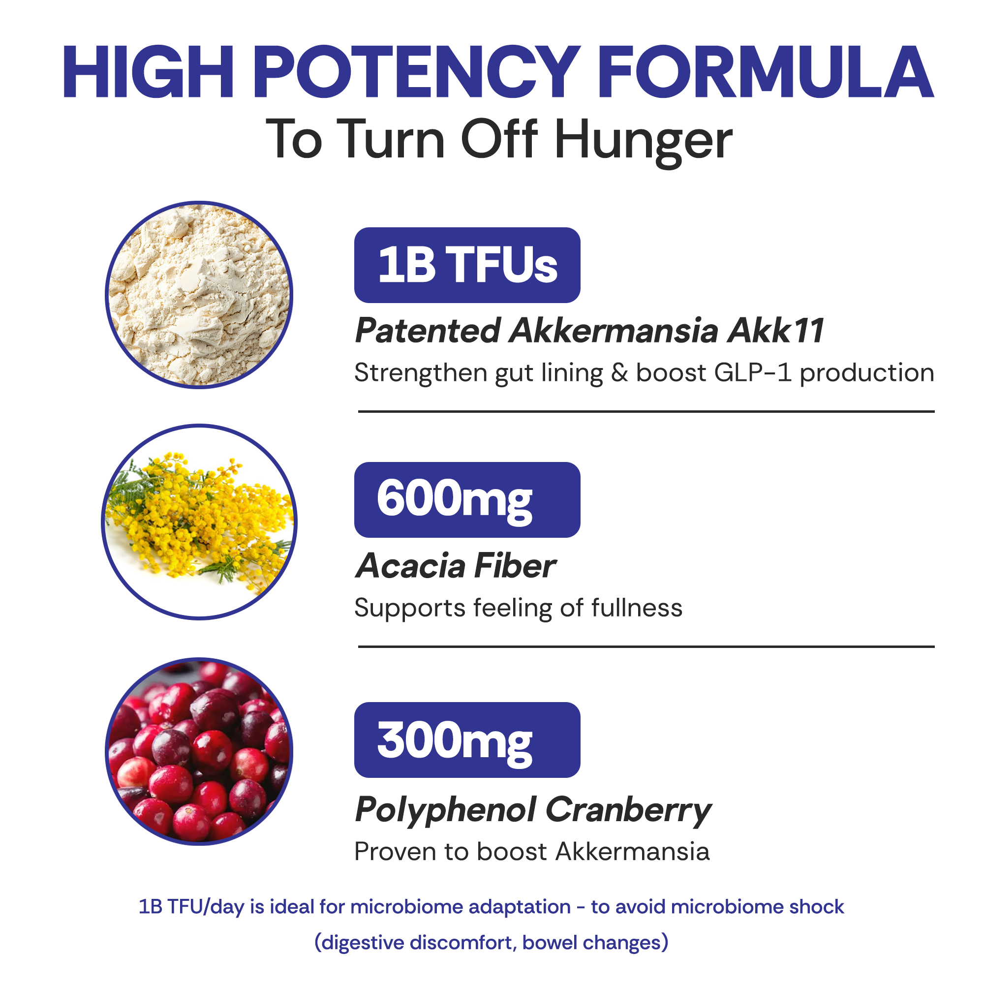 Akkermansia Probiotic