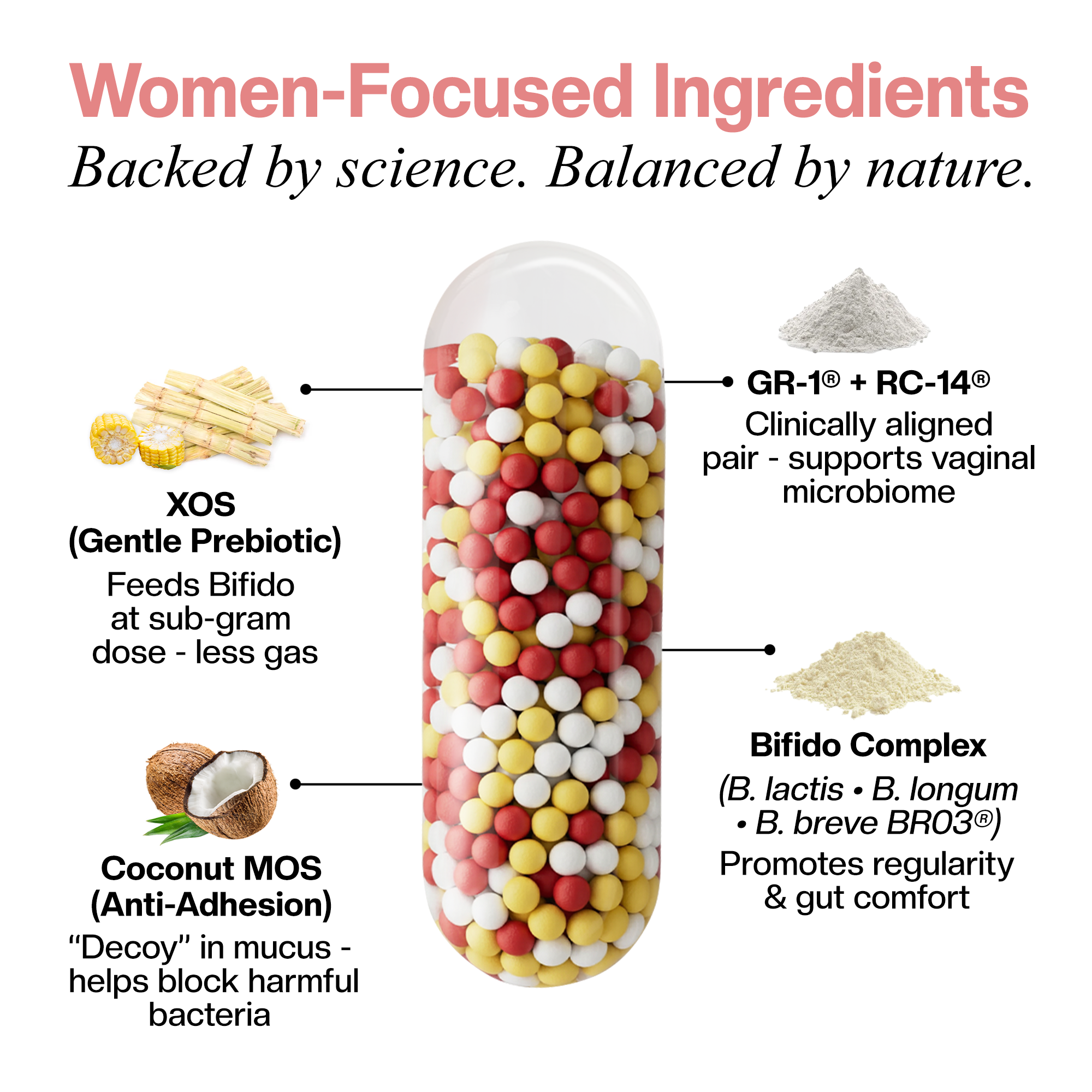 Daily Women’s Synbiotic - 20B CFU Probiotic + XOS & Coconut MOS for Gut & Vaginal Balance; GR-1® & RC-14®