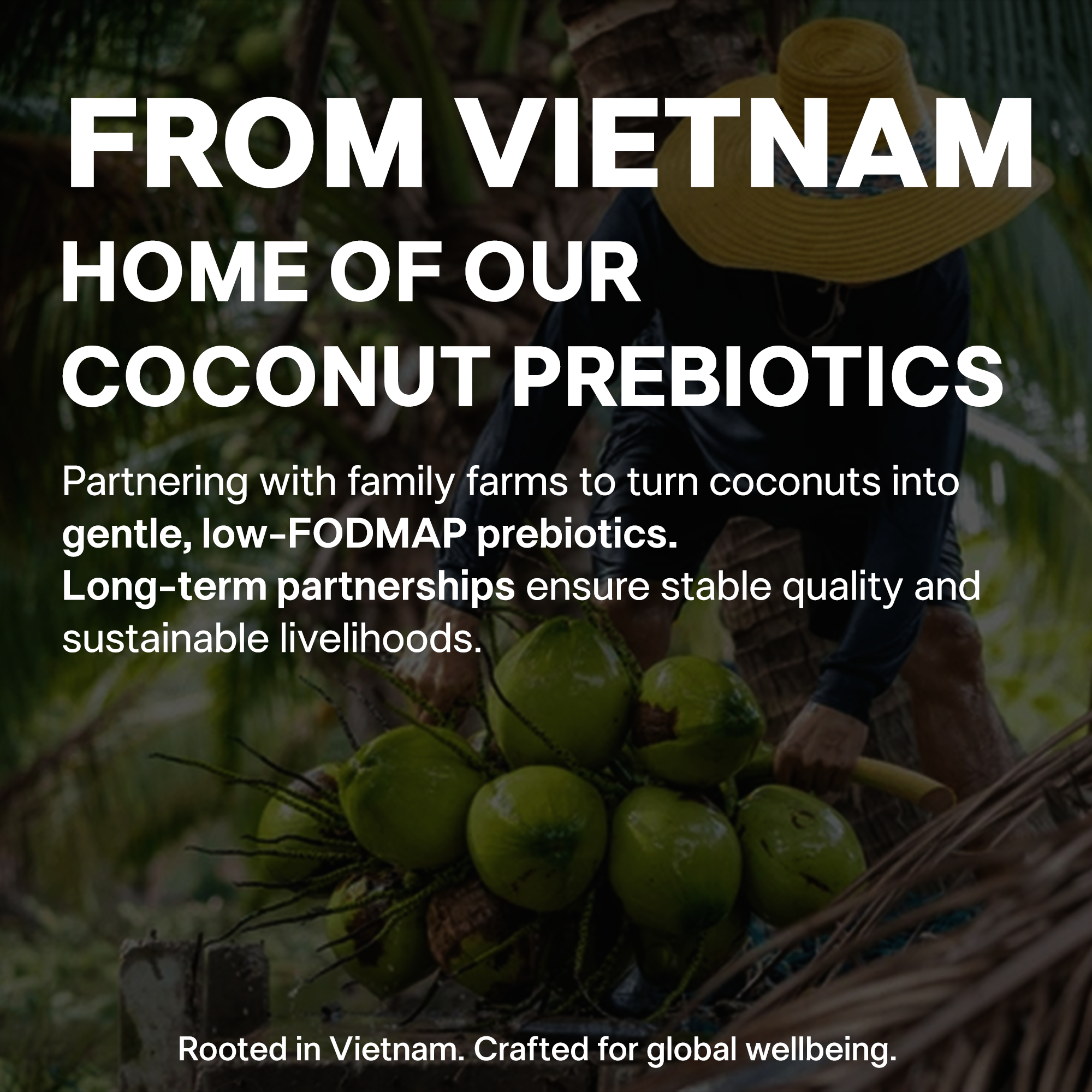 Wellio Daily Prebiotic Fiber Powder - Gentle 3-Fiber Blend for Regularity, Bloat Relief & Gut Balance - PHGG, Coconut MOS &  Acacia