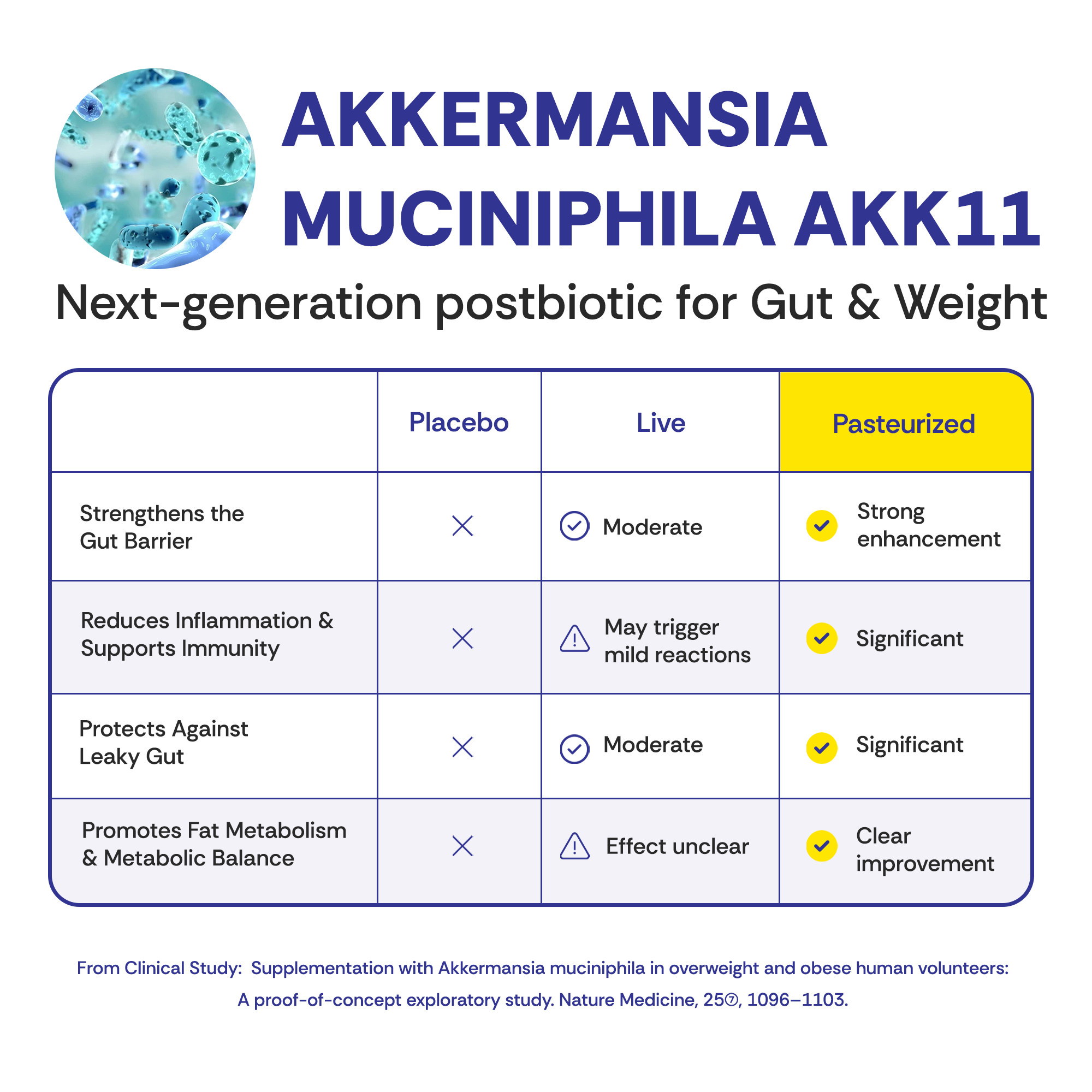 Akkermansia Probiotic