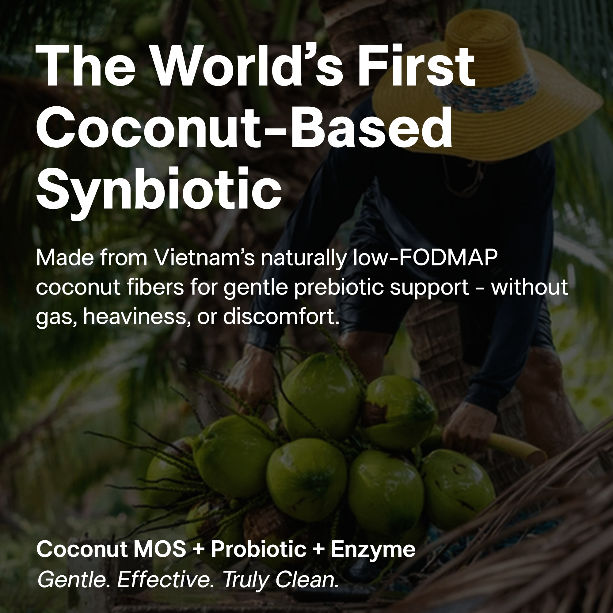 Daily 3-in-1 Synbiotic Gut Gummies - Prebiotic, Probiotic & Enzymes for Bloat Relief, Regularity & Gut Balance -  2B CFU LactoSpore®, Coconut MOS & Acacia Fiber