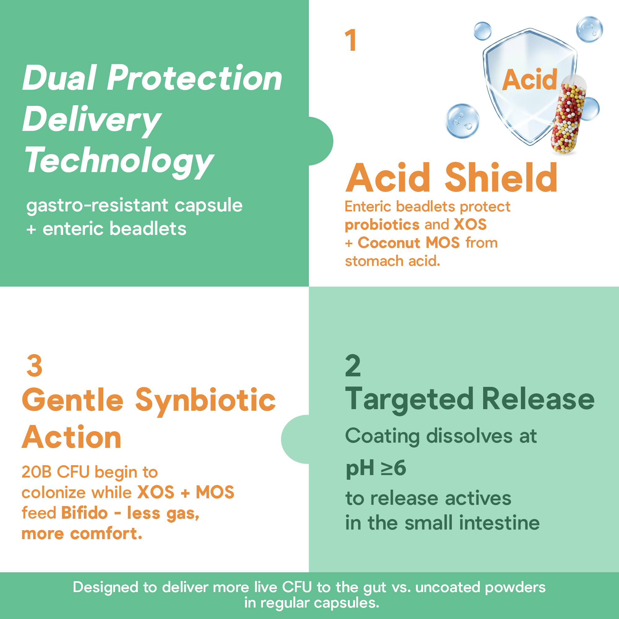 Daily CocoSynbiotic - 20B CFU Probiotics + XOS & Coconut MOS for Gut Health, Regularity & Immune Support, BR03® & LP01®