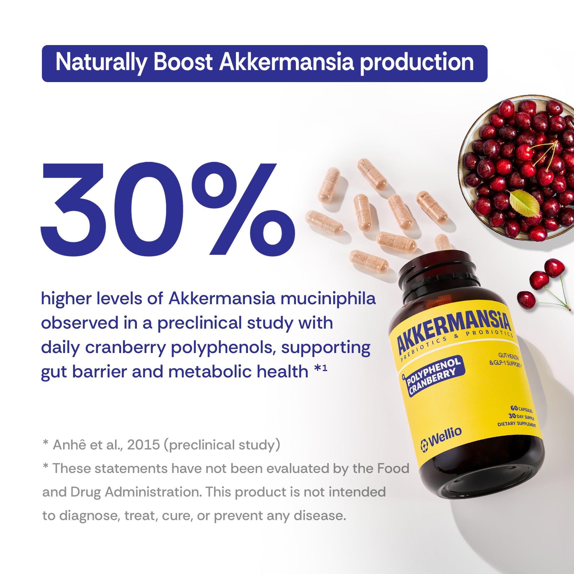 Akkermansia Probiotic