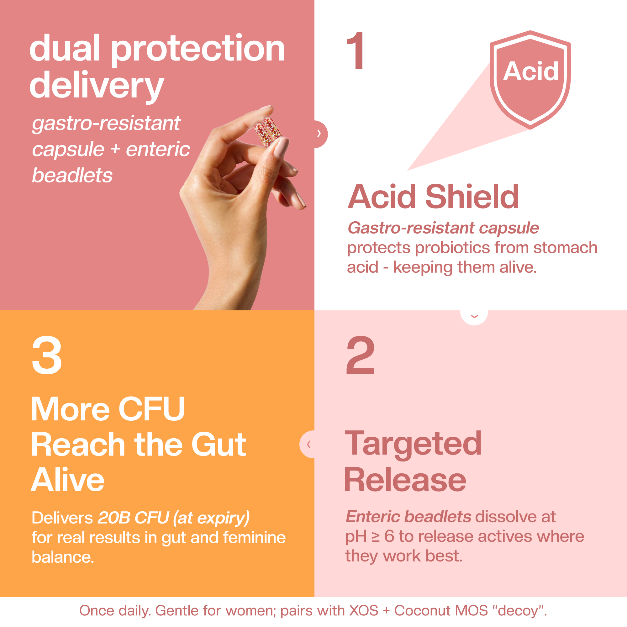 Daily Women’s Synbiotic - 20B CFU Probiotic + XOS & Coconut MOS for Gut & Vaginal Balance; GR-1® & RC-14®