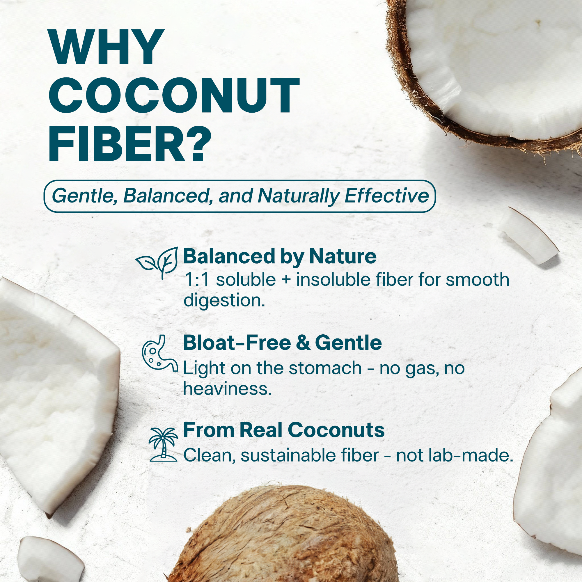 Wellio Daily Prebiotic Fiber Powder - Gentle 3-Fiber Blend for Regularity, Bloat Relief & Gut Balance - PHGG, Coconut MOS &  Acacia