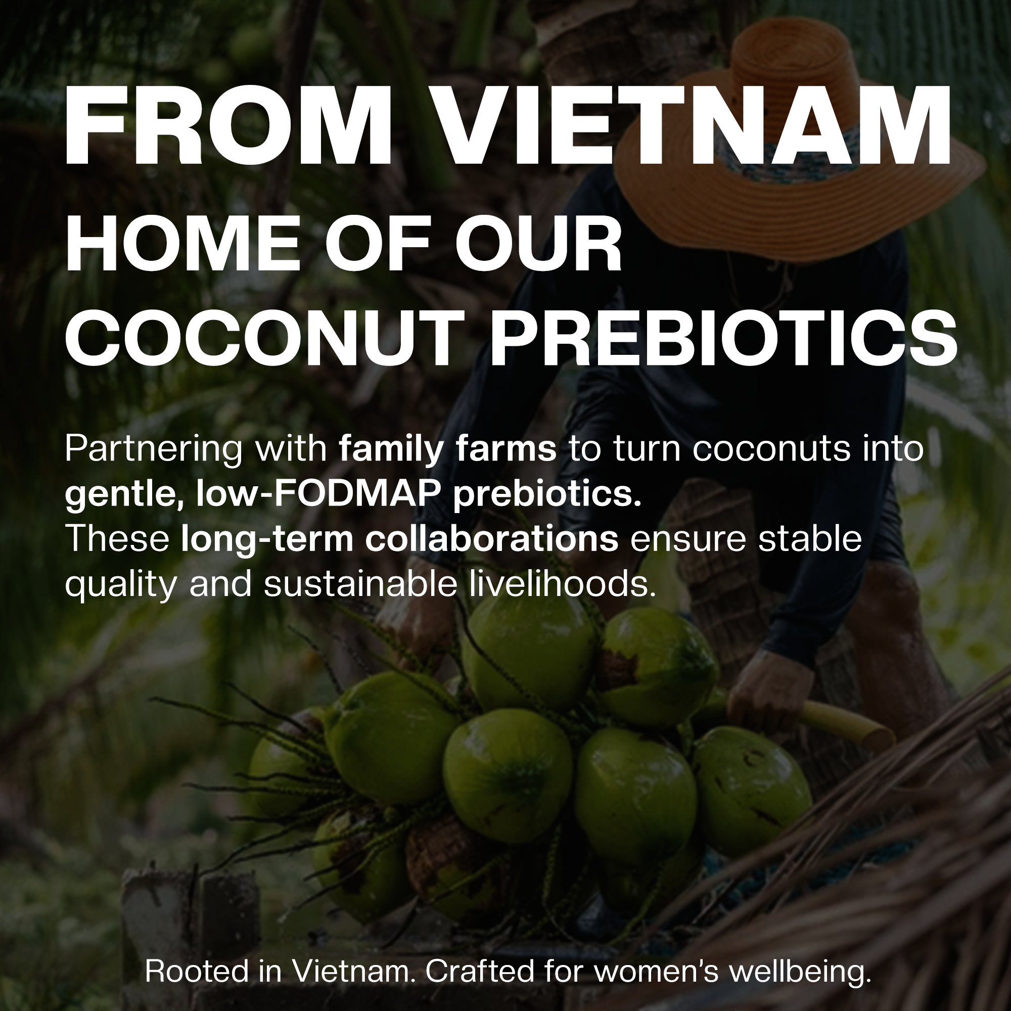 Daily Women’s Synbiotic - 20B CFU Probiotic + XOS & Coconut MOS for Gut & Vaginal Balance; GR-1® & RC-14®