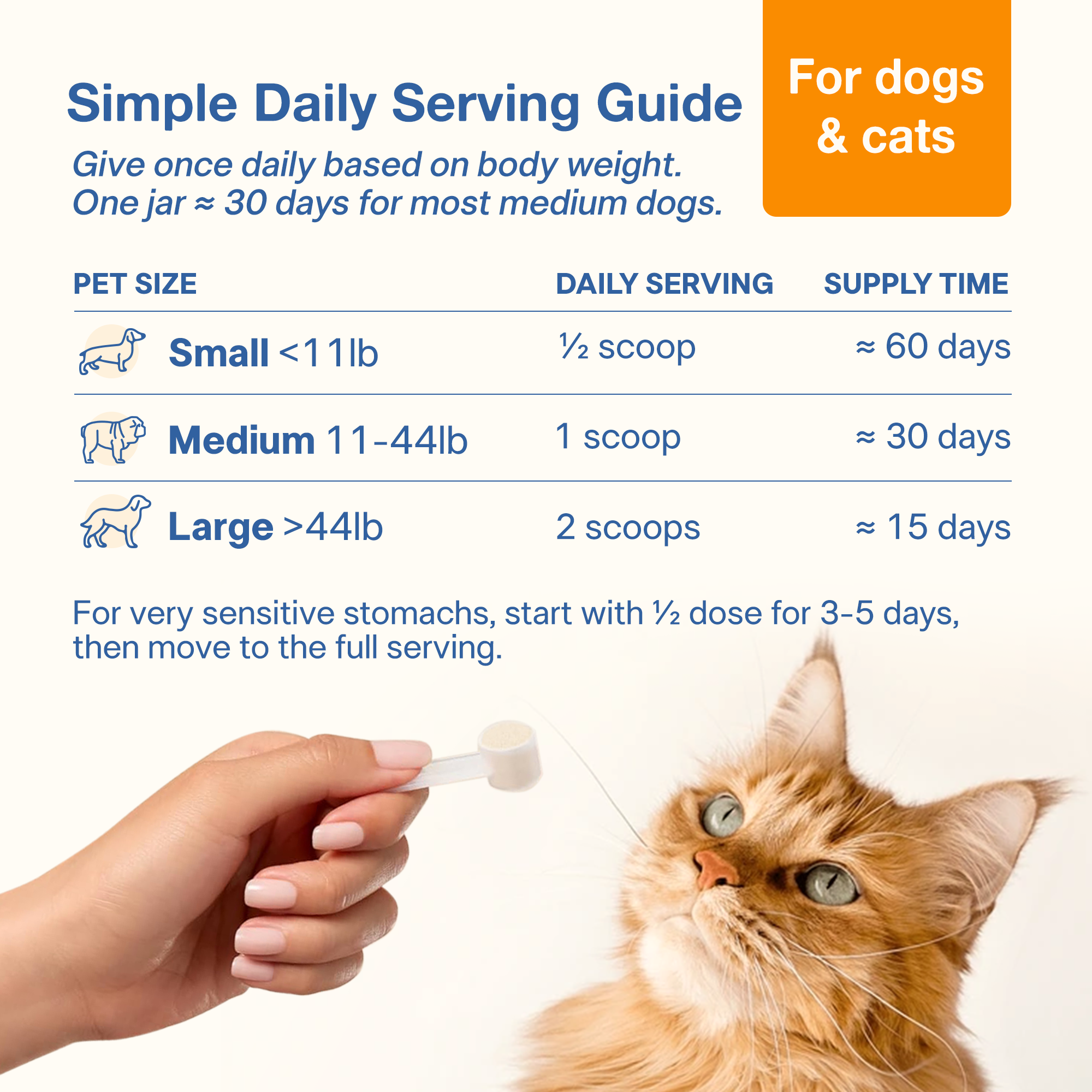 Gentle Synbiotic Powder for Dogs & Cats - 4B CFU Probiotics + PHGG & Coconut MOS - Sensitive Tummy & Firm Stool Support, Low-FODMAP, Inulin-Free, 60 g