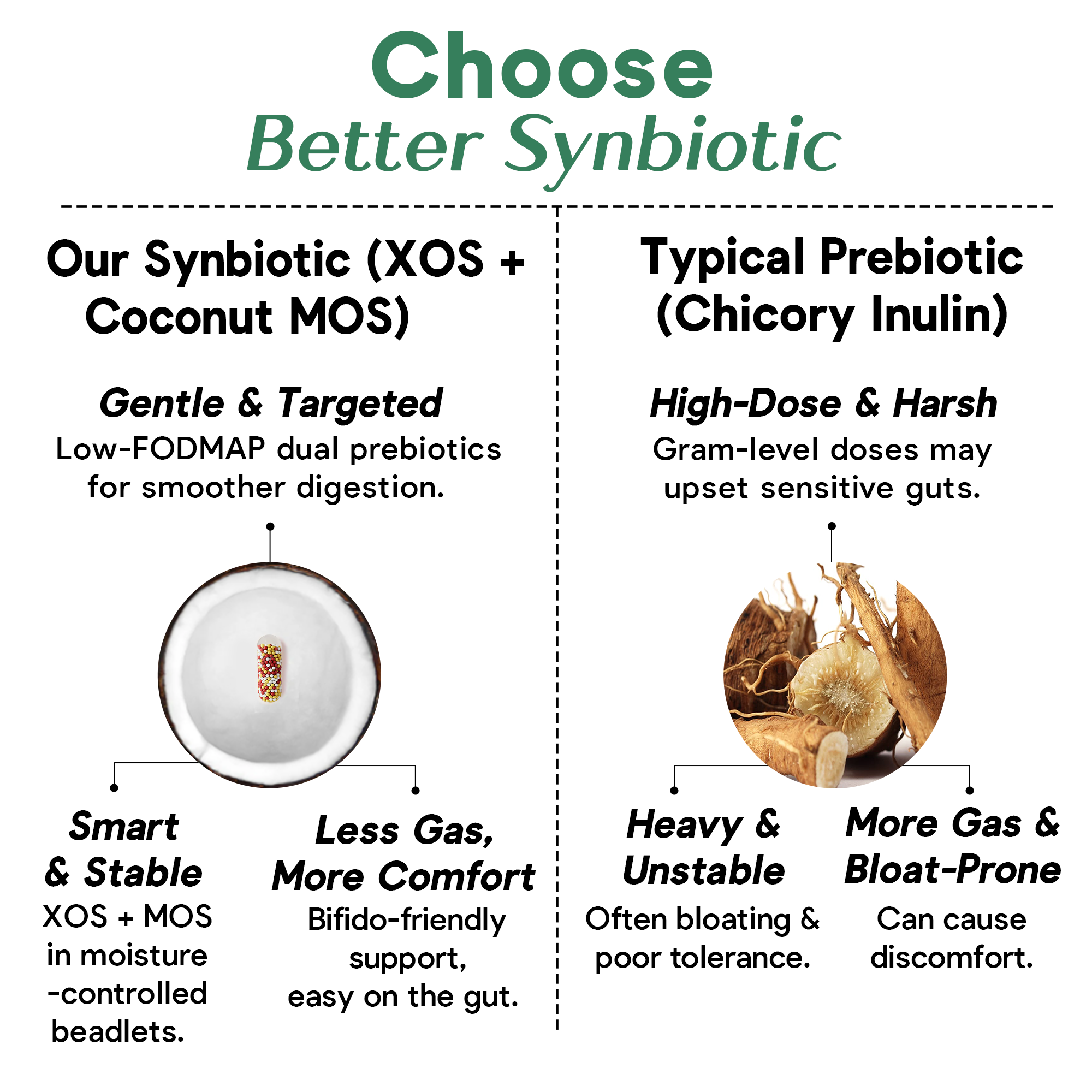 Daily CocoSynbiotic - 20B CFU Probiotics + XOS & Coconut MOS for Gut Health, Regularity & Immune Support, BR03® & LP01®